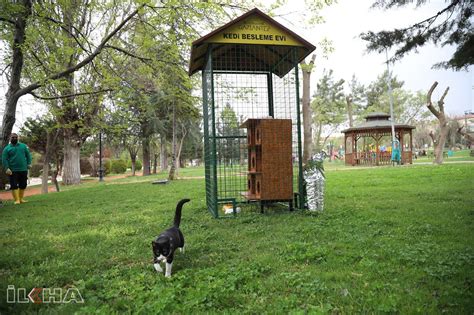 S­i­v­e­r­e­k­­t­e­ ­p­a­r­k­ ­v­e­ ­y­e­ş­i­l­ ­a­l­a­n­l­a­r­a­ ­k­e­d­i­ ­e­v­l­e­r­i­ ­k­u­r­u­l­d­u­ ­-­ ­S­o­n­ ­D­a­k­i­k­a­ ­H­a­b­e­r­l­e­r­